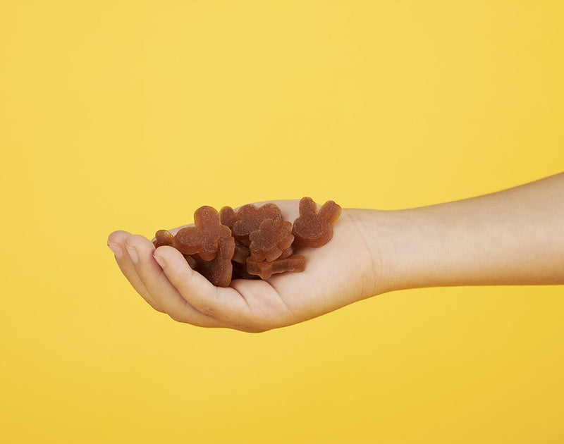 Smileat Gustare(snack) din afine si mere Triboo 25g, Eco