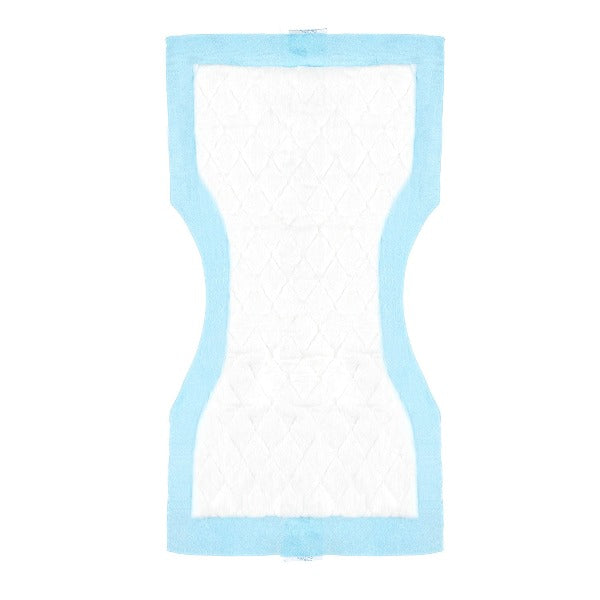 Canpol Babies Absorbante Postnatale 10 Buc - 73/003